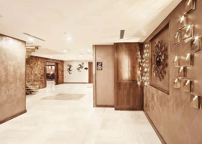 酒店 佩拉大酒店 4*